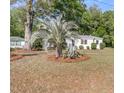 Quaint cottage-style home with palm tree and fresh landscaping at 3484 Johan Blvd, Johns Island, SC 29455