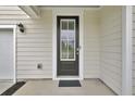 Close-up of a stylish front door with a window, providing a welcoming entrance to the home at 648 Chigwell Springs Ln, Summerville, SC 29486