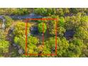 Aerial view of the property's lot and surrounding trees with defined lot lines around the residence at 1518 Southwick Dr, Johns Island, SC 29455