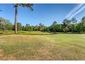 Scenic view of a lush golf course with mature trees and clear blue skies at 347 Prestwick Ct, Summerville, SC 29483