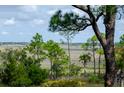 Scenic marsh view through the trees with some open water and distant buildings at 37 Marsh Edge, Kiawah Island, SC 29455