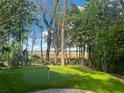 Backyard putting green with landscaping, flag sticks, and a view at 1002 Blockade Runner Ct, Charleston, SC 29414