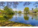 Scenic view of a tranquil pond with a rope swing, surrounded by lush greenery at 1006 Wayfarer Ln, Charleston, SC 29412