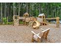 Community playground featuring a climbing structure, slide, and wooden benches set among tall trees at 139 Seaton St, Summerville, SC 29486