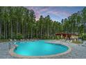 Community pool surrounded by chairs, trees, and lush landscaping under a colorful sky at 139 Seaton St, Summerville, SC 29486