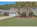 Charming single-story home featuring a well-manicured lawn, palm trees, and an attached two-car garage at 1436 Harbor Mist Ct, Charleston, SC 29492