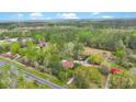 Scenic aerial view showcasing the property's landscape, mature trees, and surrounding greenery at 2080 Sniders Hwy, Walterboro, SC 29488