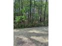 Overiew of the backyard at 1300 Park West Blvd # 516, Mount Pleasant, SC 29466