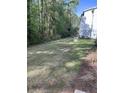 Overiew of the backyard at 1300 Park West Blvd # 516, Mount Pleasant, SC 29466