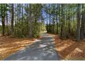 Scenic wooded walking trail perfect for enjoying nature at 321 Sanctuary Park Dr, Summerville, SC 29486