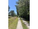 Long gravel driveway flanked by lush trees provides a grand entrance to the rural property at 6935 Hickorynut Ln, Ravenel, SC 29470