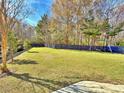 Spacious, fenced backyard with lush green lawn and mature trees, perfect for outdoor activities and relaxation at 855 Hunt Club Run, Charleston, SC 29414