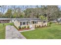 Well-maintained home with manicured lawn, a stately palm, and a welcoming entrance at 1239 Old Orchard Rd, Charleston, SC 29412