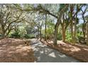 Home featuring mature trees and a lush landscape, providing a serene and private setting at 2455 The Bent Twig, Seabrook Island, SC 29455