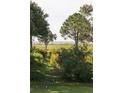 Serene backyard view with lush greenery and a glimpse of the ocean in the distance at 2407 Atlantic Ave, Sullivans Island, SC 29482