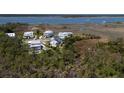 Aerial view of waterfront homes with coastal marsh views, showcasing the neighborhood's prime location and serene setting at 1905 Lone Oak Pt, Mount Pleasant, SC 29466