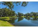 Beautiful pond surrounded by mature trees, offering a serene view at 2302 Hamlin Sound Cir, Mount Pleasant, SC 29466