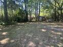 Large backyard with mature trees and overgrown shed with lots of foliage and potential at 1866 Ashley Hall Rd, Charleston, SC 29407