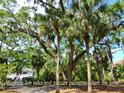 Majestic live oaks and mature palmetto trees adorn the neighborhood at 855 Club Cottage Rd, Edisto Island, SC 29438