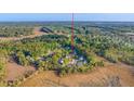 Aerial shot showcases the serene neighborhood, surrounded by a lush landscape at 2524 Deer Walk Way, Mount Pleasant, SC 29466