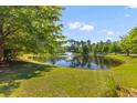 Scenic view of a community pond with a fountain, surrounded by lush green grass and mature trees under a blue sky at 3500 Maplewood Ln, Mount Pleasant, SC 29466