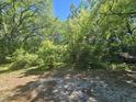 Lush, overgrown front yard with glimpses of a rundown home and vehicle beneath mature trees at 4165 Dorchester Rd, North Charleston, SC 29405