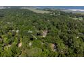 An aerial view of a property surrounded by lush trees, offering privacy and seclusion with water views in the distance at 2766 Old Oak Walk, Seabrook Island, SC 29455