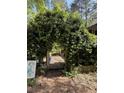 Lush landscaped garden area with a wooden pathway and a charming green archway covered in vines at 815 W Carolina Rd, McClellanville, SC 29458