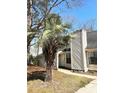 Charming front exterior with a small palm tree and a well-manicured lawn leading to the front door at 8330 Longridge Rd, North Charleston, SC 29418