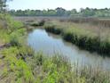 Scenic view of the waterway surrounded by marsh grasses, offering a tranquil setting at 1527 S Pinebark Ln, Charleston, SC 29407