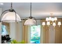 Elegant interior lighting including pendant and chandelier fixtures, enhancing the home's ambience at 595 Crowned Kinglet Retreat, Charleston, SC 29412