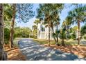 View of the house through a driveway lined with palm trees and lush, natural vegetation at 23 Fairway Village Ln, Isle of Palms, SC 29451