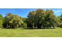 Expansive green lawn with beautiful, mature trees for plenty of shade on a sunny day at 4911 Chisolm Rd, Johns Island, SC 29455