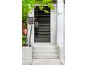 Contemporary front entry featuring modern security gate and verdant landscaping at 62 Gadsden St # A, Charleston, SC 29401