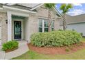 Inviting front entrance showcasing beautiful landscaping, palm trees, and a charming front door at 523 Fern Tree Dr, Summerville, SC 29486