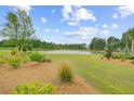 Scenic view of a lush lawn, tall trees, and tranquil pond in a verdant outdoor space at 523 Fern Tree Dr, Summerville, SC 29486
