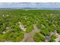 Stunning aerial view of lush greenery and the Charleston Harbor in the distance at 667 Shortwood St, Charleston, SC 29412