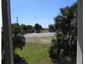 Relaxing view of tropical palms and the clear sky from inside the home at 1603 Lybrand St, Edisto Island, SC 29438