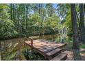 Wooden pier with a tranquil view of the still and placid waters of the surrounding wooded area at 3389 Prices Bridge Ln, Walterboro, SC 29488