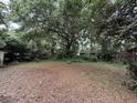 Expansive backyard enveloped by lush trees and landscaping, offering a private outdoor oasis at 609 Coral St, Mount Pleasant, SC 29464