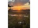 Beautiful sunset landscape view overlooking a scenic marshland with trees in the foreground at 123 Jungle Rd, Edisto Island, SC 29438