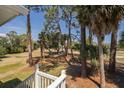 Lush backyard with a partial view from porch stairs with palm trees and green grass at 60 Rice Ln, Edisto Beach, SC 29438