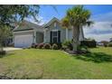Charming single-story home with a well-manicured lawn and a mature palm tree in the front yard at 234 Basket Grass Ln, Summerville, SC 29486