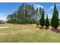 Expansive backyard with lush lawn and mature trees, perfect for outdoor activities at 423 Four Seasons Blvd, Summerville, SC 29486