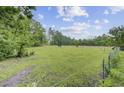 Picturesque pasture with horses grazing peacefully under a clear sky, surrounded by lush trees at 1050 Mt Zion Rd, Saint George, SC 29477