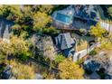 Overhead view of a stunning backyard featuring a large pool, patio area, and lush landscaping, surrounded by mature trees at 1081 Groves Manor Ct, Mount Pleasant, SC 29464