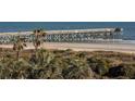Picturesque views of the pier and ocean from this coastal condo complex at 1300 Ocean Blvd # 308, Isle of Palms, SC 29451