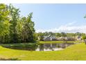 Scenic view of a tranquil pond surrounded by lush greenery and well-maintained homes in a residential community at 1417 Roustabout Way, Charleston, SC 29414