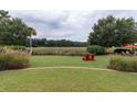 Enjoy outdoor living in this backyard featuring lush landscaping and serene golf course views at 187 Ithecaw Creek St, Daniel Island, SC 29492