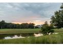 Serene golf course and water views provide a tranquil backdrop for this home at 187 Ithecaw Creek St, Daniel Island, SC 29492